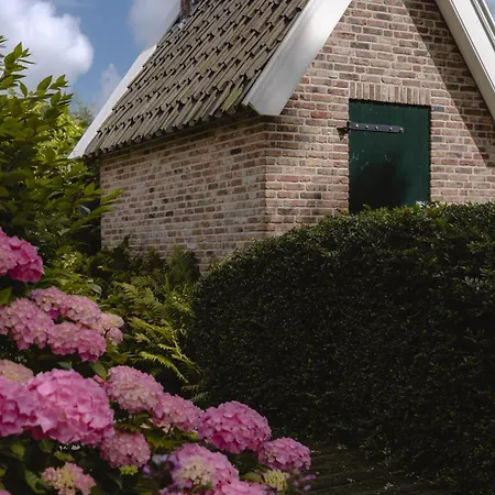 Het Rijgebint Molenaarsgraaf