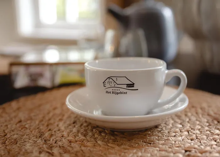 Bed & Breakfast Luxe Het Rijgebint Molenaarsgraaf